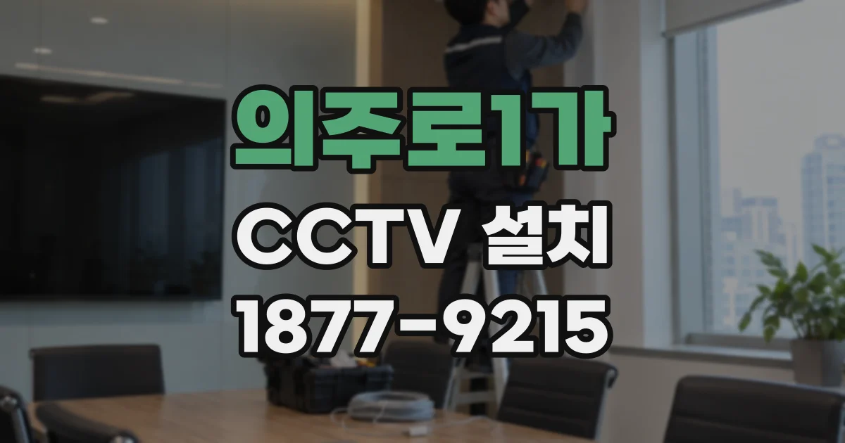 의주로1가 CCTV 설치