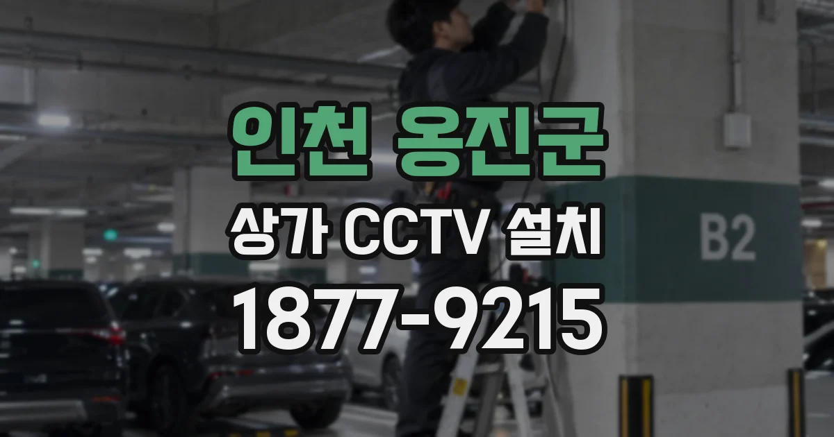 인천 옹진군 상가 CCTV 설치