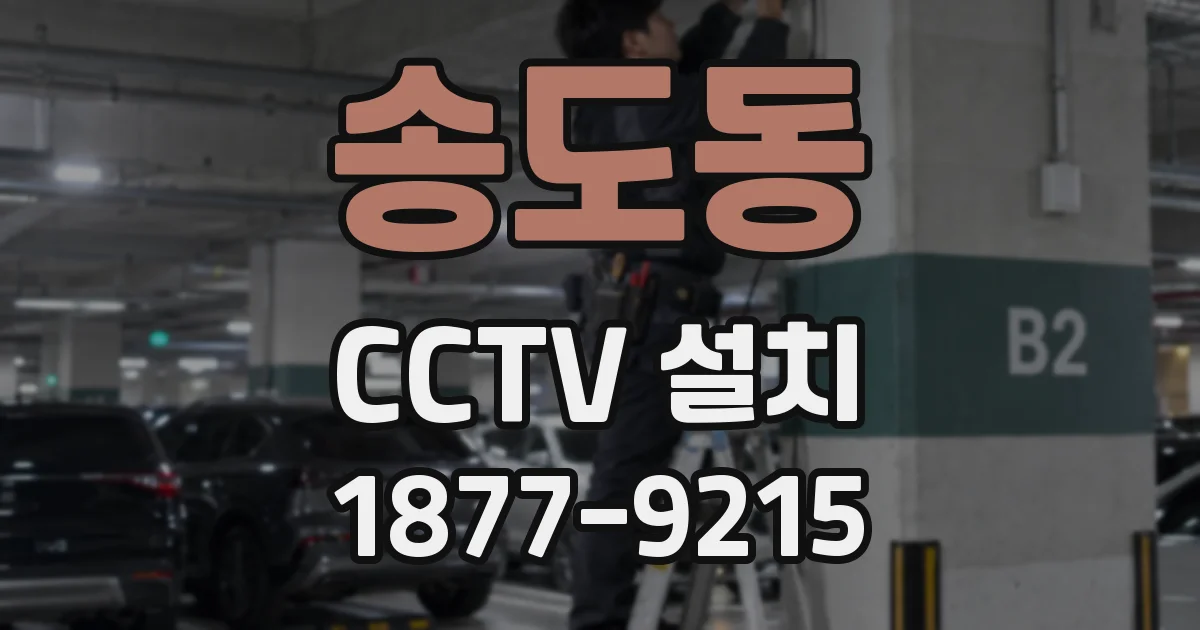 송도동 CCTV 설치