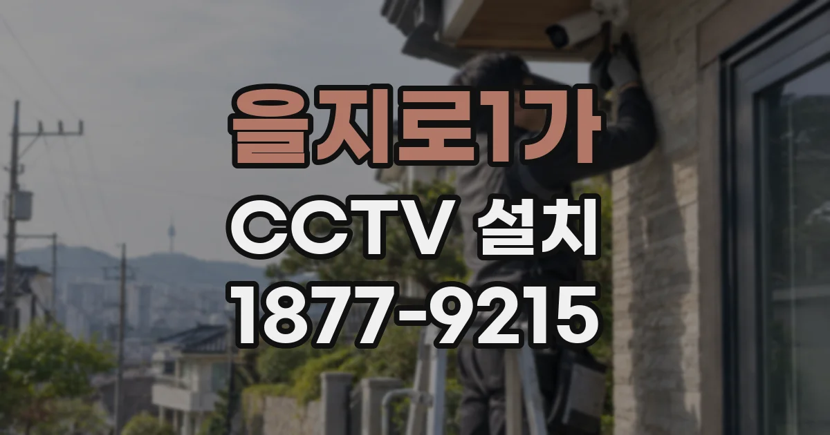 을지로1가 CCTV 설치