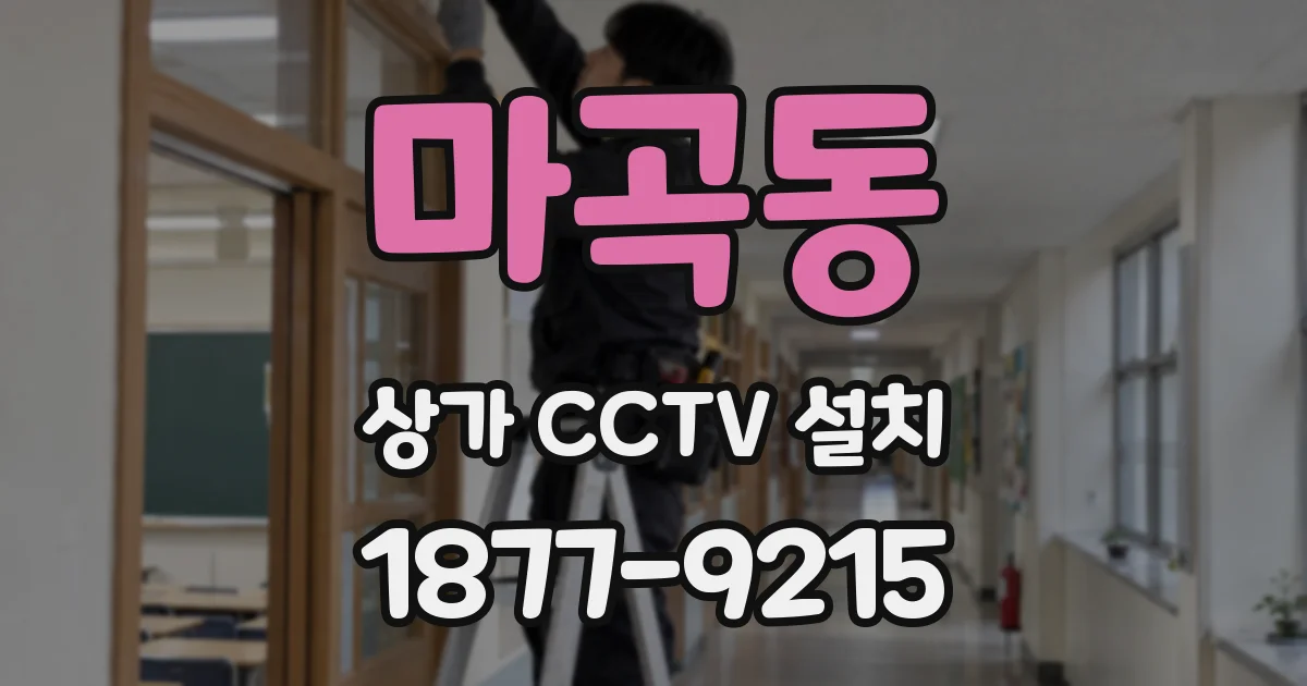 마곡동 상가 CCTV 설치