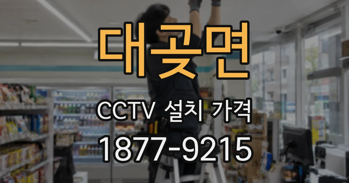 대곶면 CCTV 설치 가격