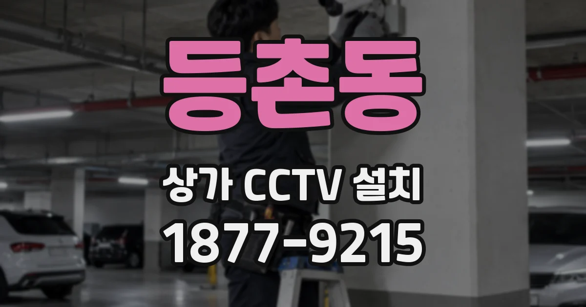 등촌동 상가 CCTV 설치