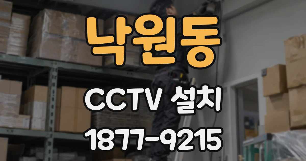 낙원동 CCTV 설치