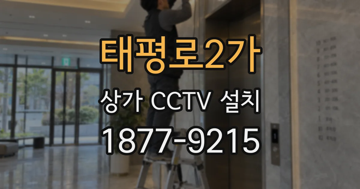 태평로2가 상가 CCTV 설치