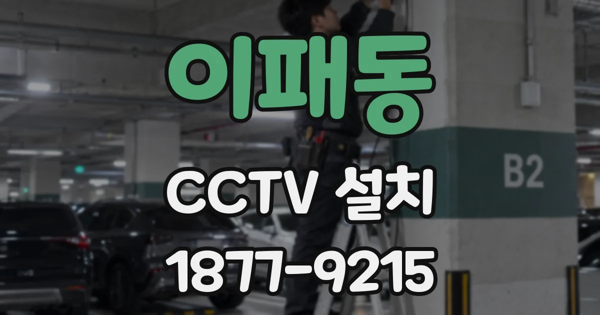이패동 CCTV 설치