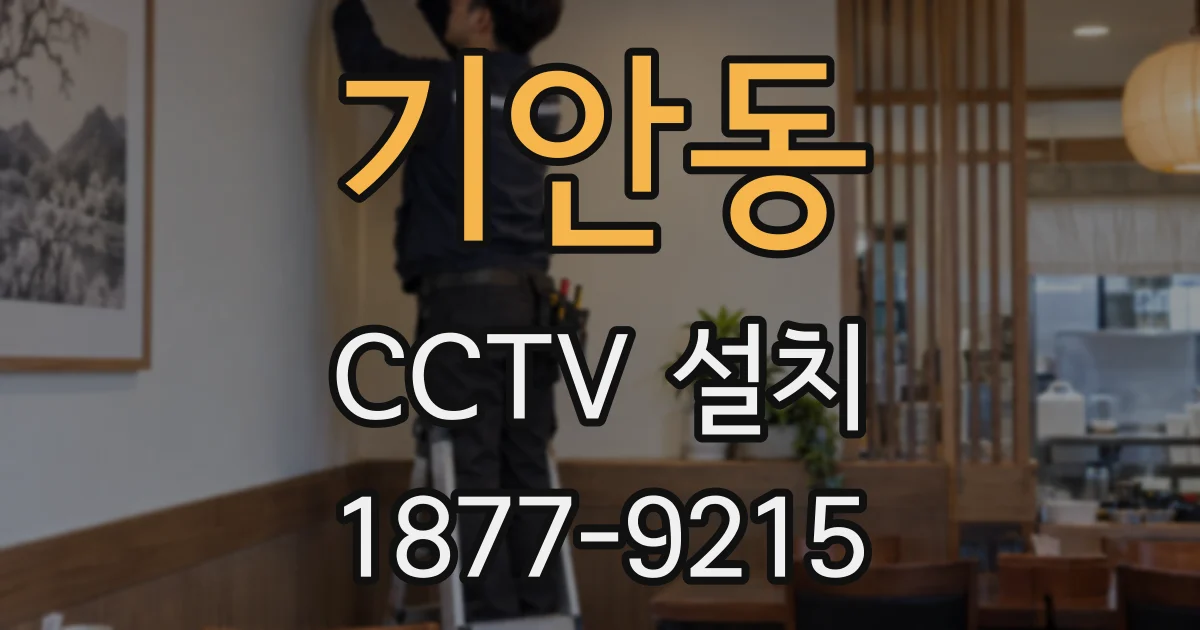 기안동 CCTV 설치