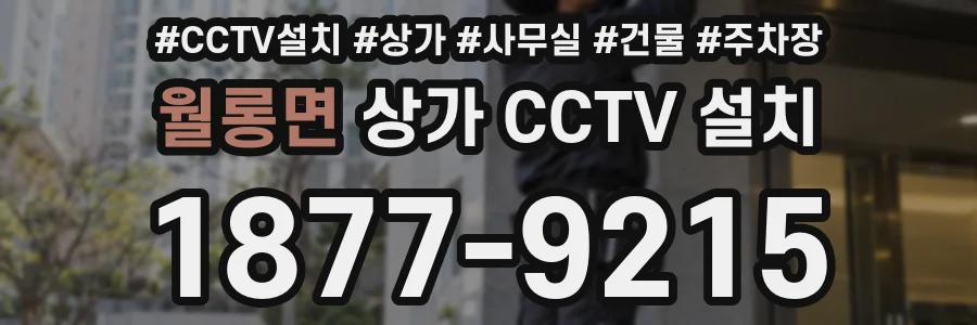 월롱면 상가 CCTV 설치
