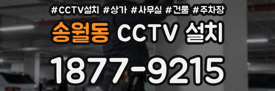 송월동 CCTV 설치