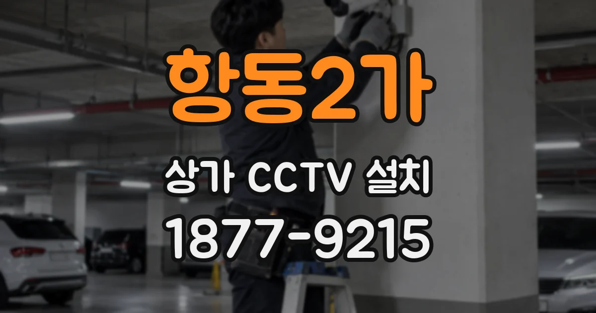 항동2가 상가 CCTV 설치