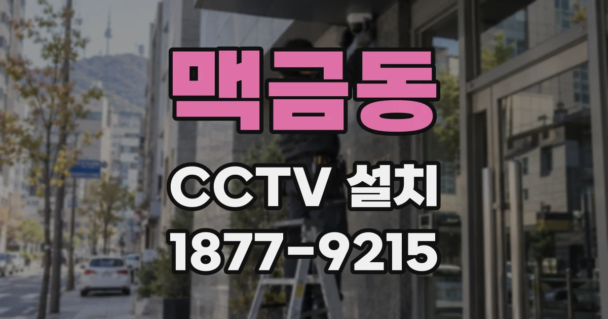 맥금동 CCTV 설치