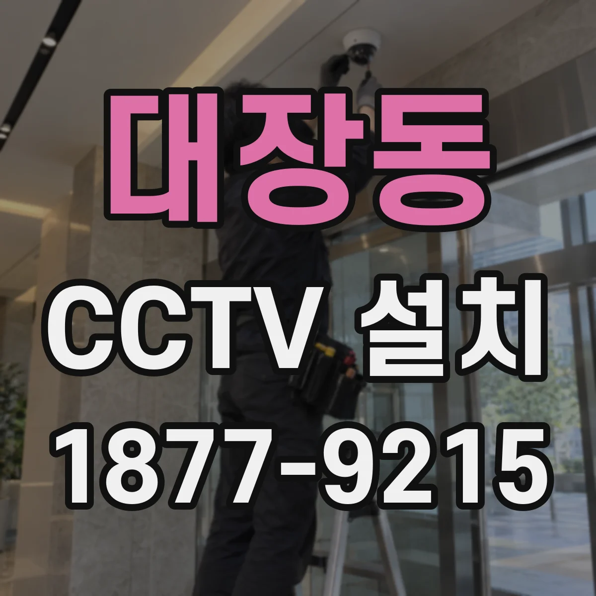 대장동 CCTV 설치