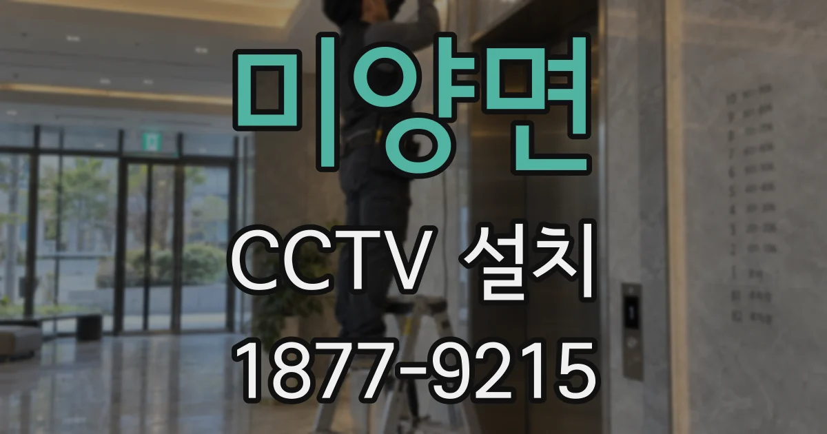 미양면 CCTV 설치