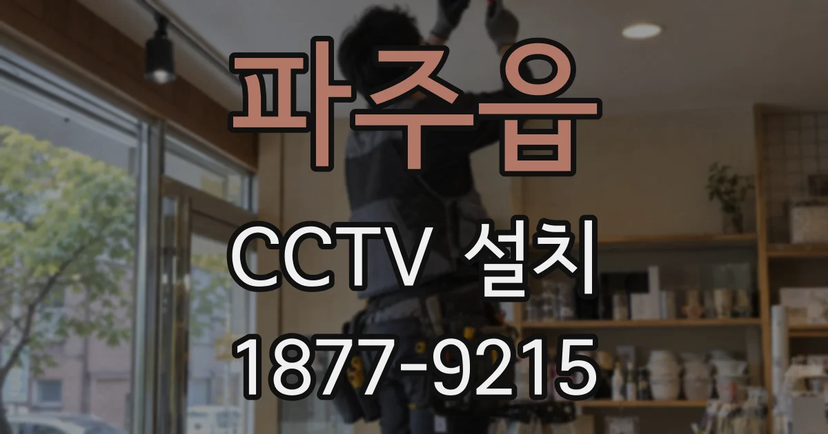 파주읍 CCTV 설치