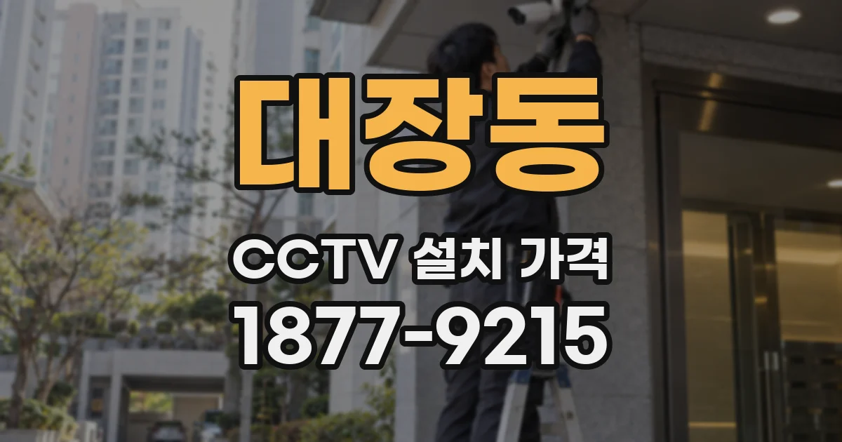 대장동 CCTV 설치 가격