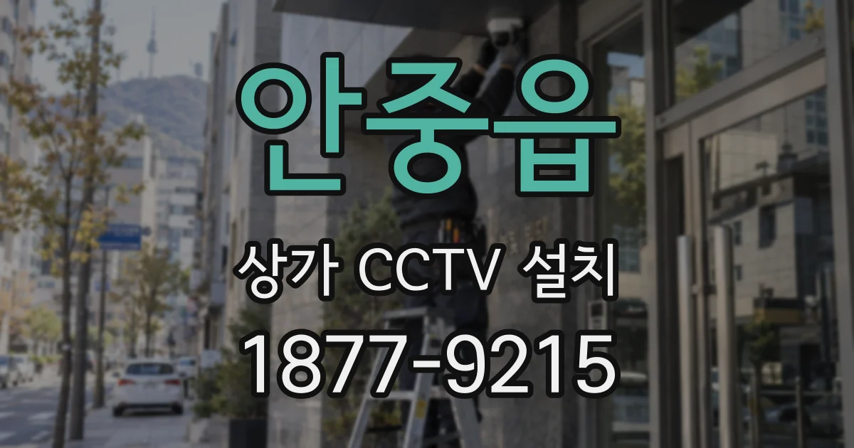 안중읍 상가 CCTV 설치