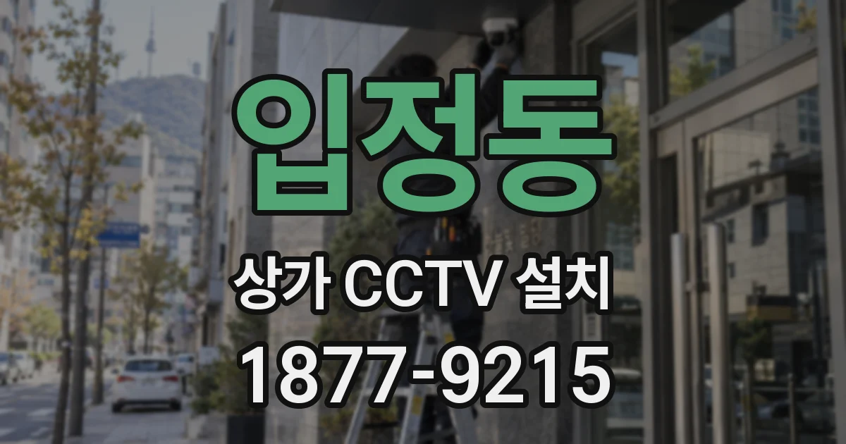 입정동 상가 CCTV 설치