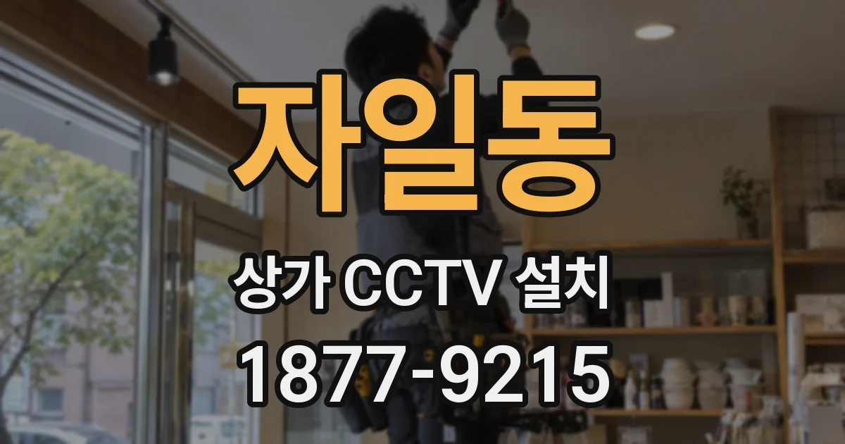 자일동 상가 CCTV 설치
