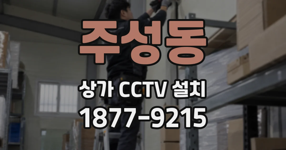 주성동 상가 CCTV 설치