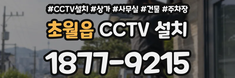 초월읍 CCTV 설치