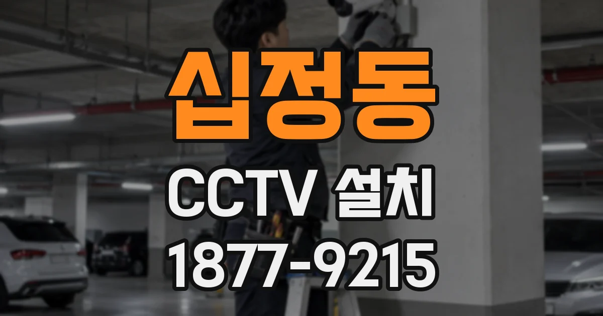 십정동 CCTV 설치