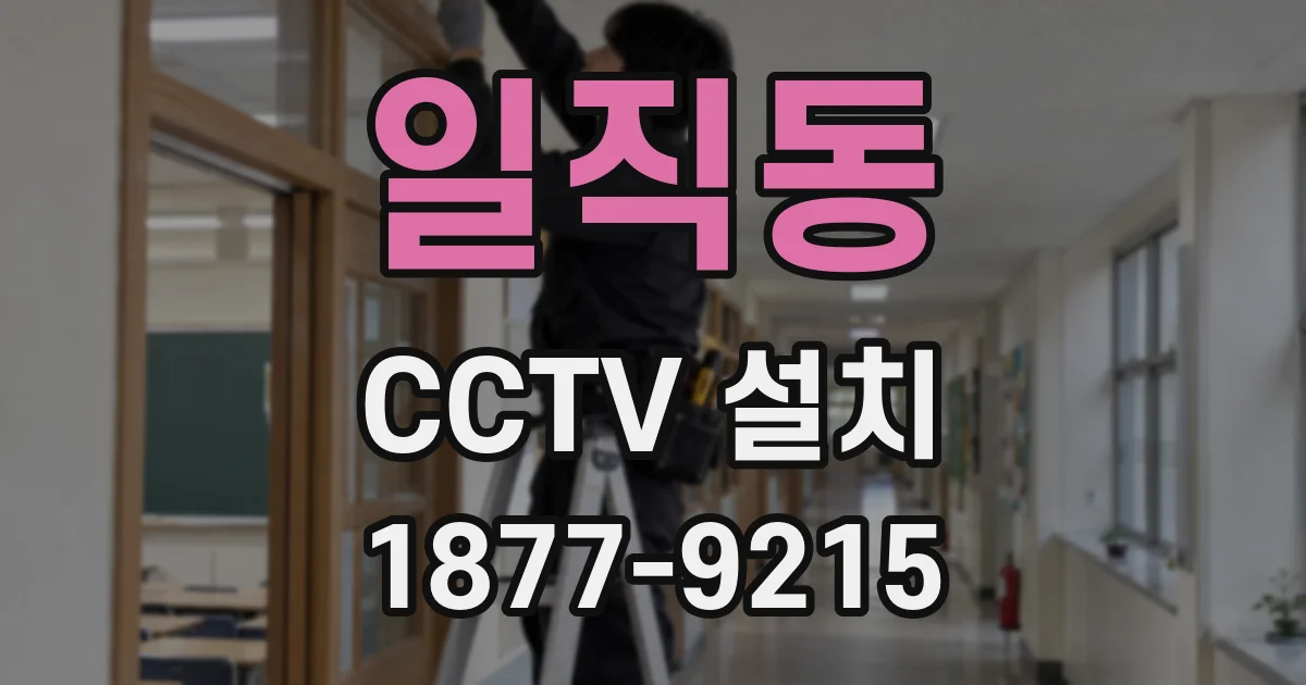 일직동 CCTV 설치