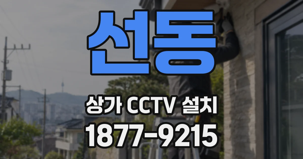 선동 상가 CCTV 설치