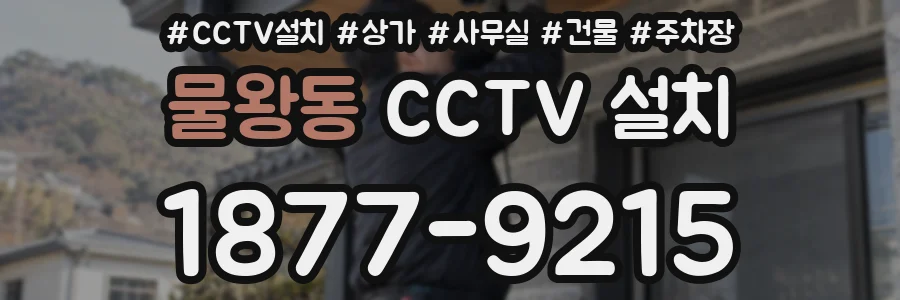 물왕동 CCTV 설치