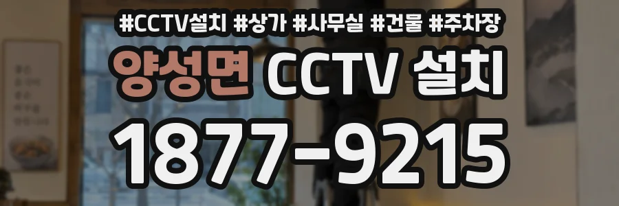 양성면 CCTV 설치