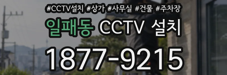 일패동 CCTV 설치