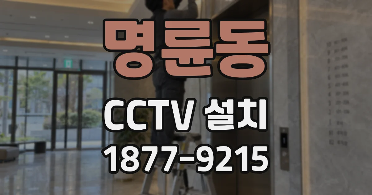 명륜동 CCTV 설치
