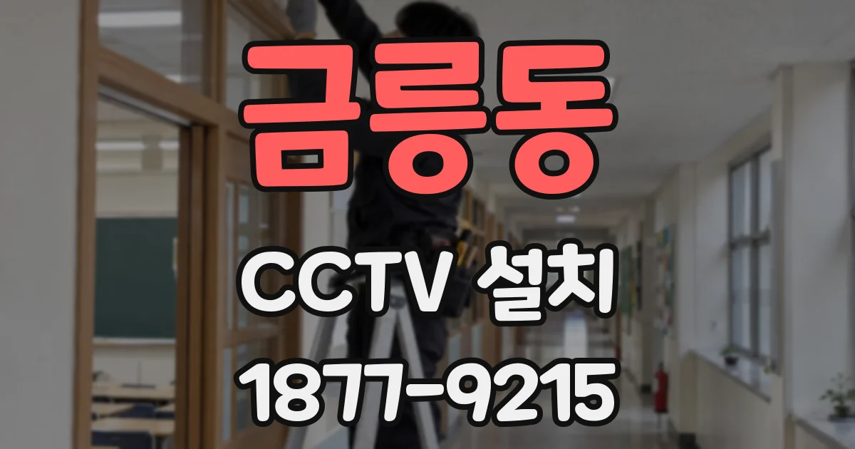 금릉동 CCTV 설치
