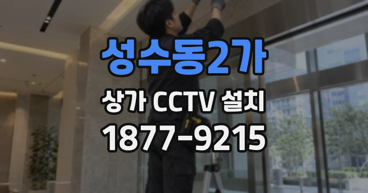성수동2가 상가 CCTV 설치