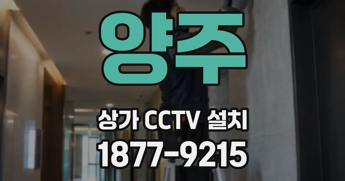 양주 상가 CCTV 설치