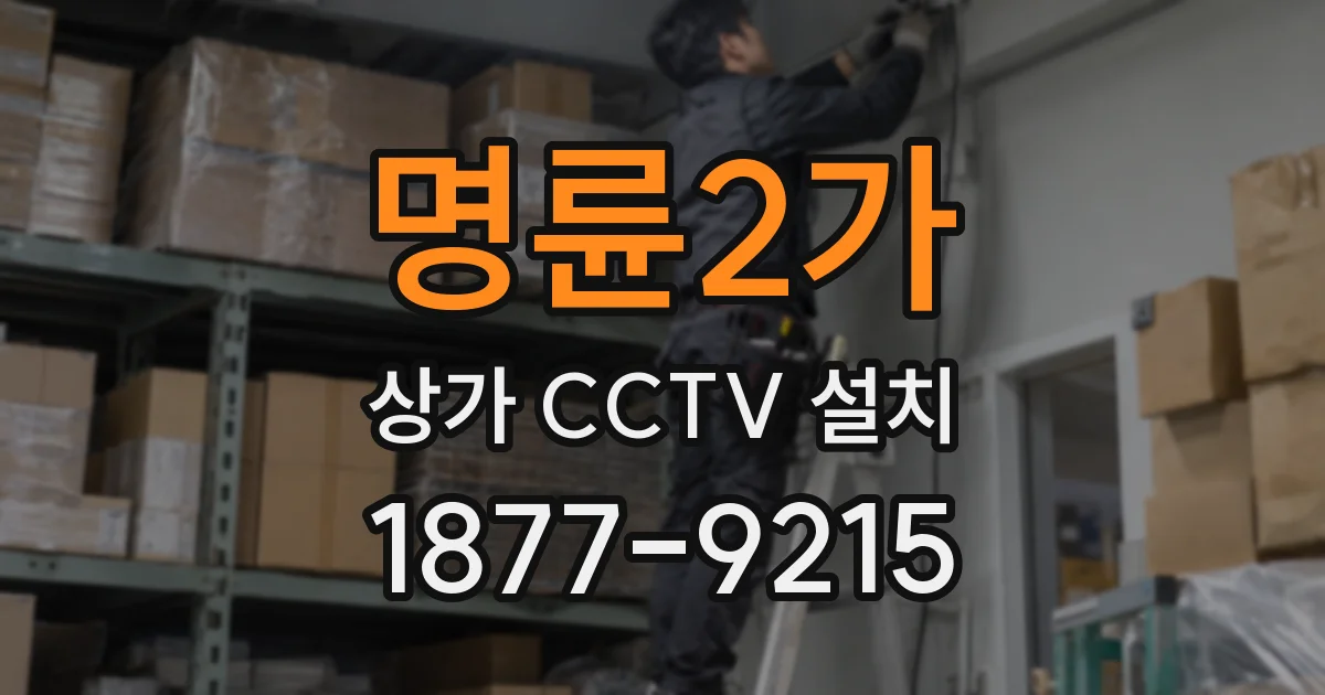명륜2가 상가 CCTV 설치