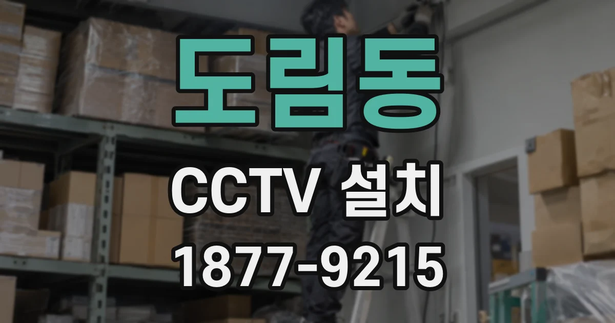 도림동 CCTV 설치