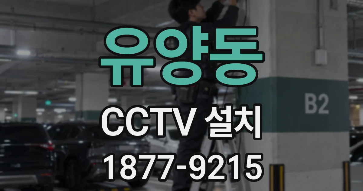 유양동 CCTV 설치