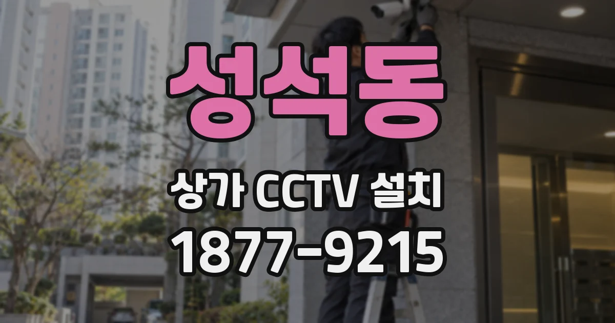 성석동 상가 CCTV 설치