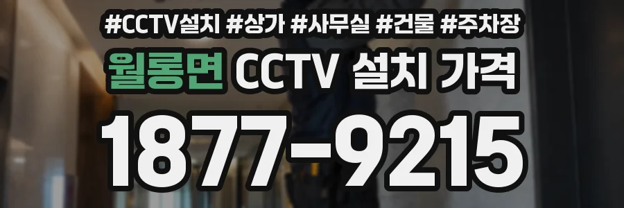 월롱면 CCTV 설치 가격