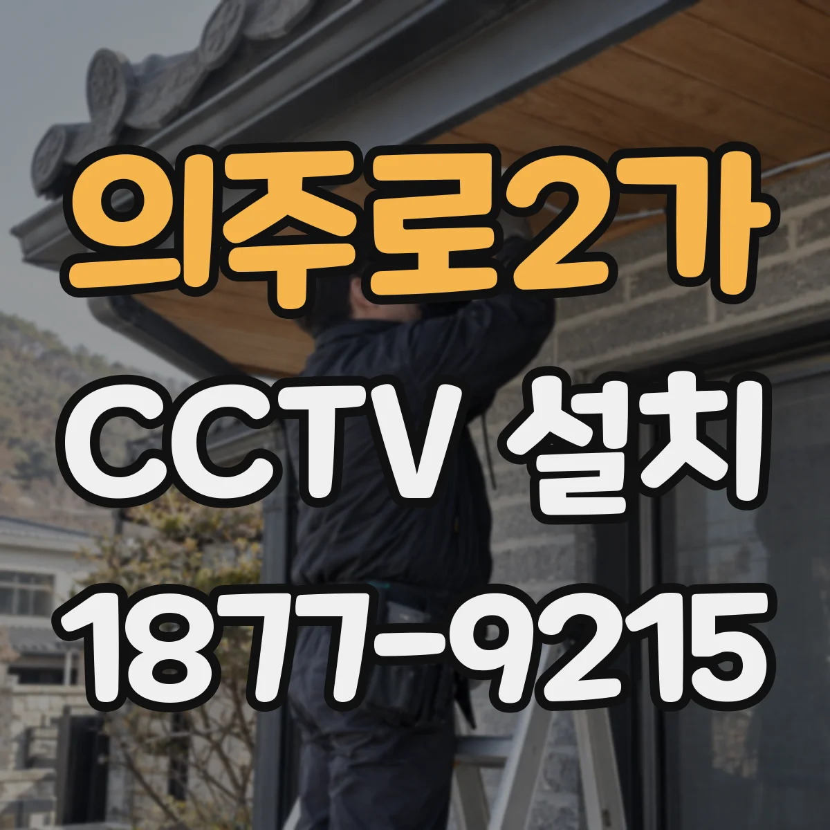 의주로2가 CCTV 설치
