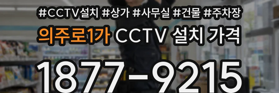 의주로1가 CCTV 설치 가격
