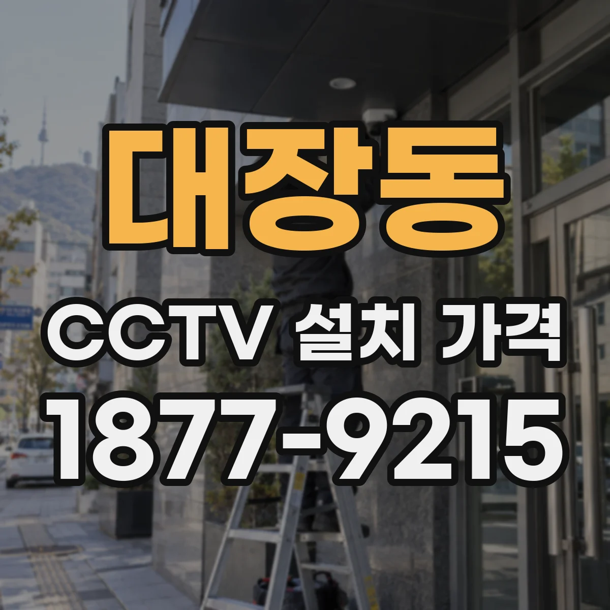 대장동 CCTV 설치 가격