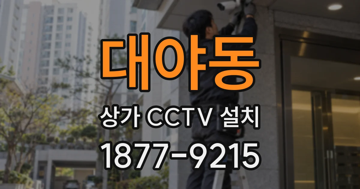 대야동 상가 CCTV 설치