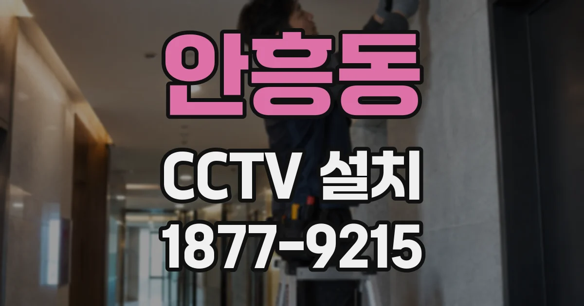 안흥동 CCTV 설치