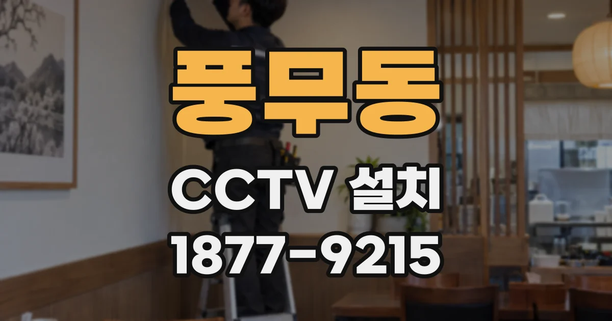 풍무동 CCTV 설치