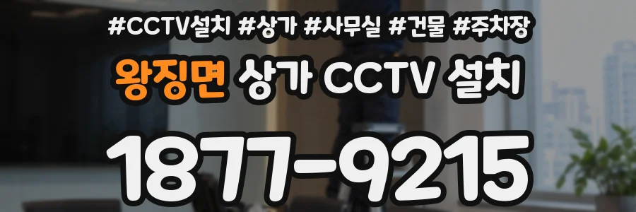 왕징면 상가 CCTV 설치