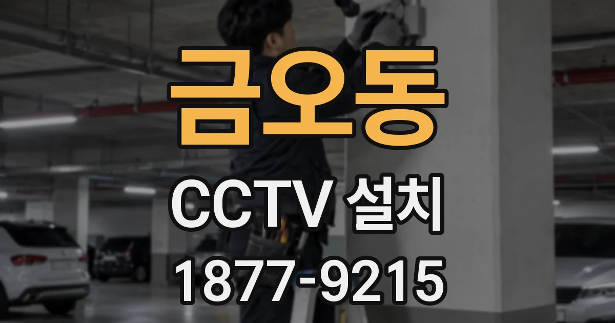 금오동 CCTV 설치