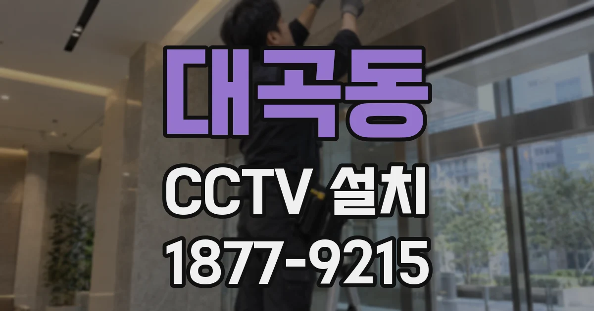 대곡동 CCTV 설치