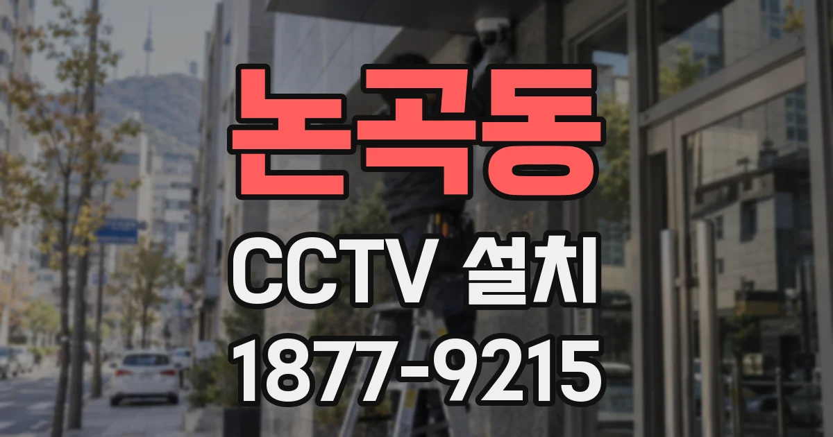 논곡동 CCTV 설치