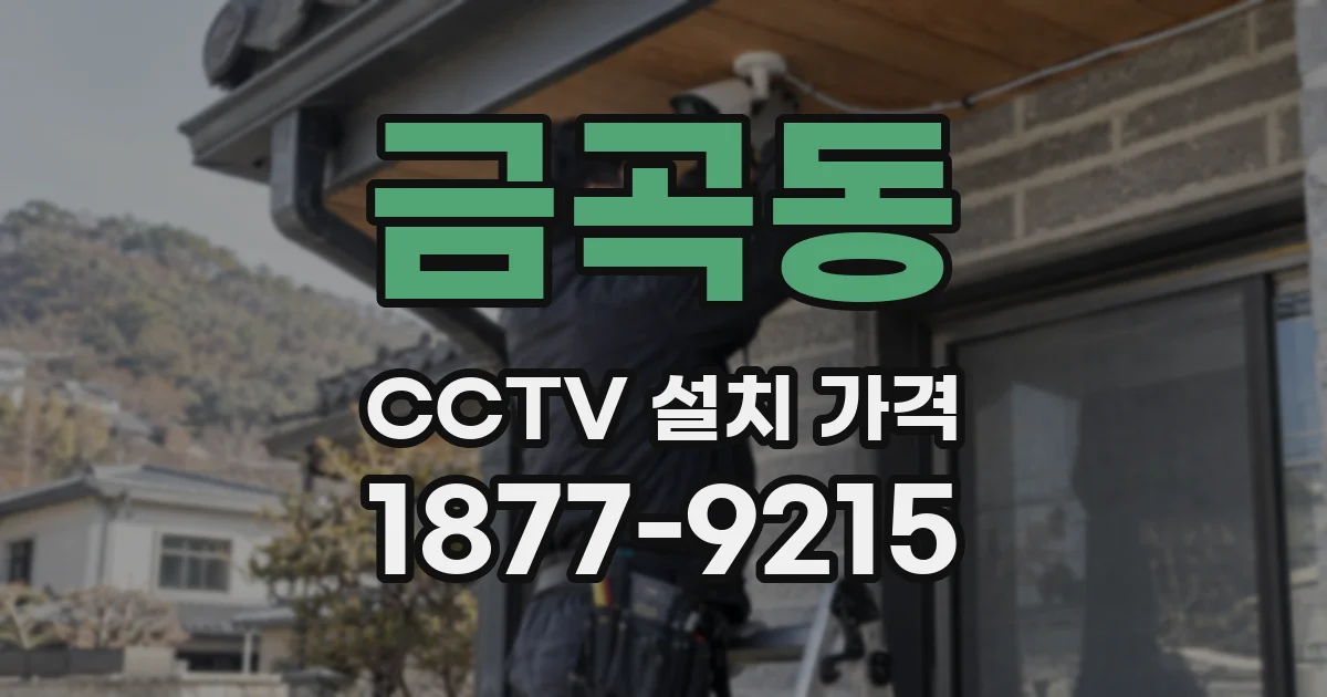금곡동 CCTV 설치 가격